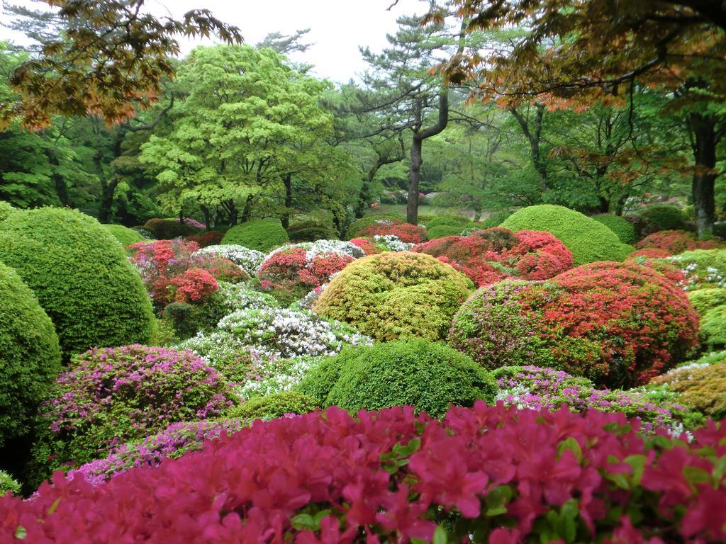 Hotel Hakone Kowakien Miyamafurin Exterior foto