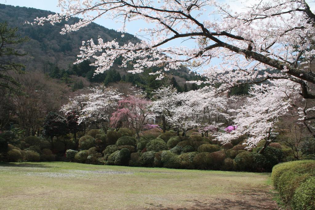 Hotel Hakone Kowakien Miyamafurin Exterior foto