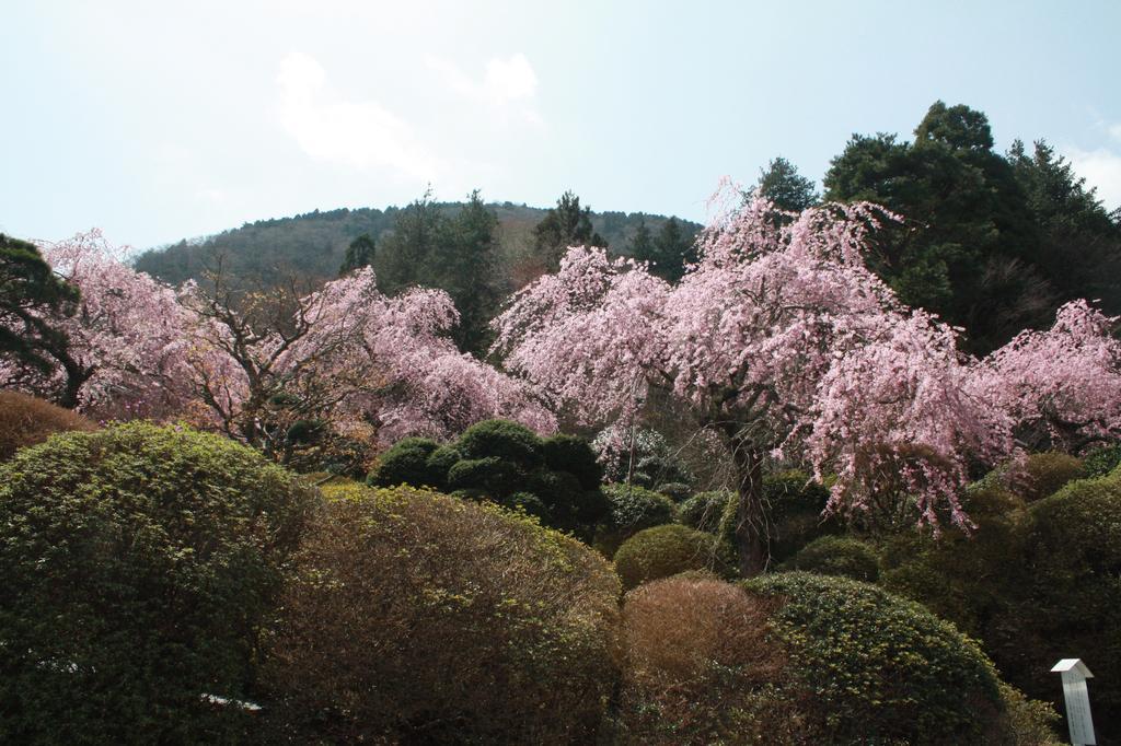 Hotel Hakone Kowakien Miyamafurin Exterior foto