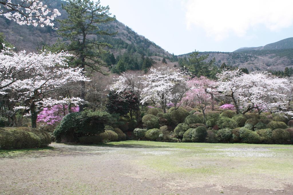 Hotel Hakone Kowakien Miyamafurin Exterior foto